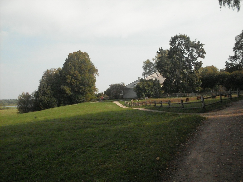 SDC13151.JPG