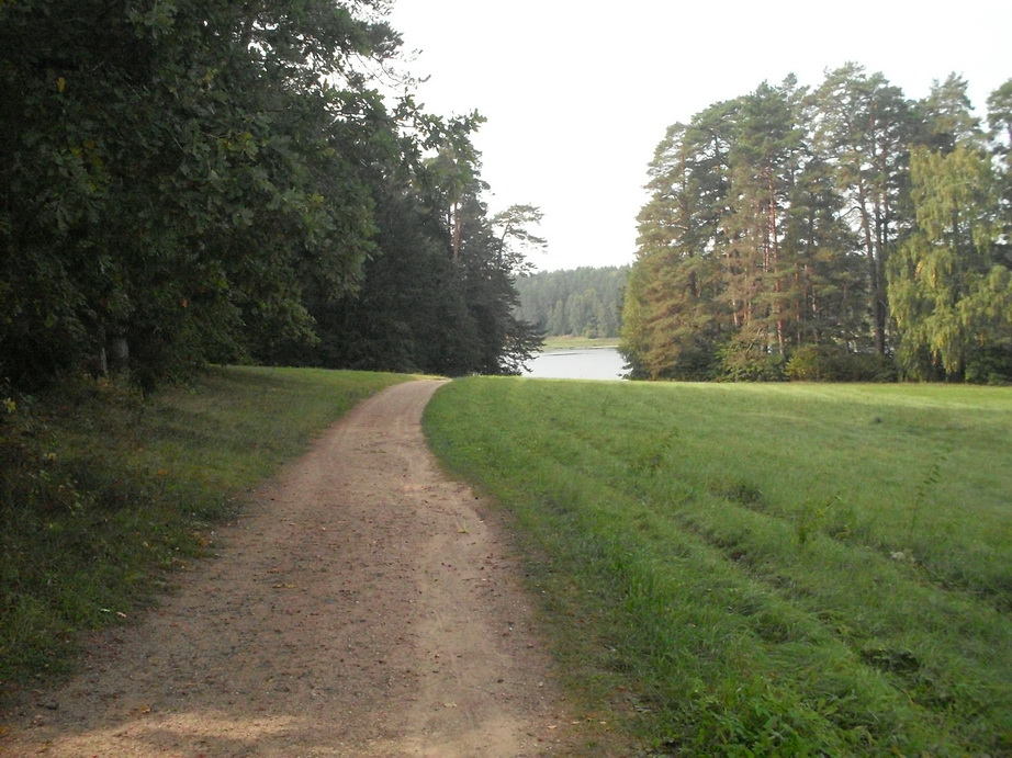 SDC13152.JPG