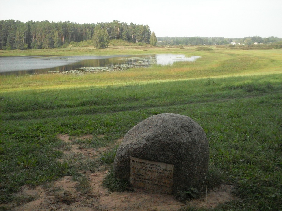 SDC13155.JPG