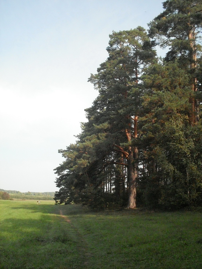 SDC13157.JPG