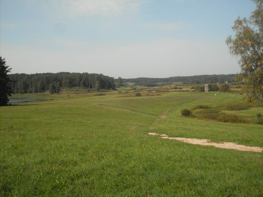 SDC13162.JPG