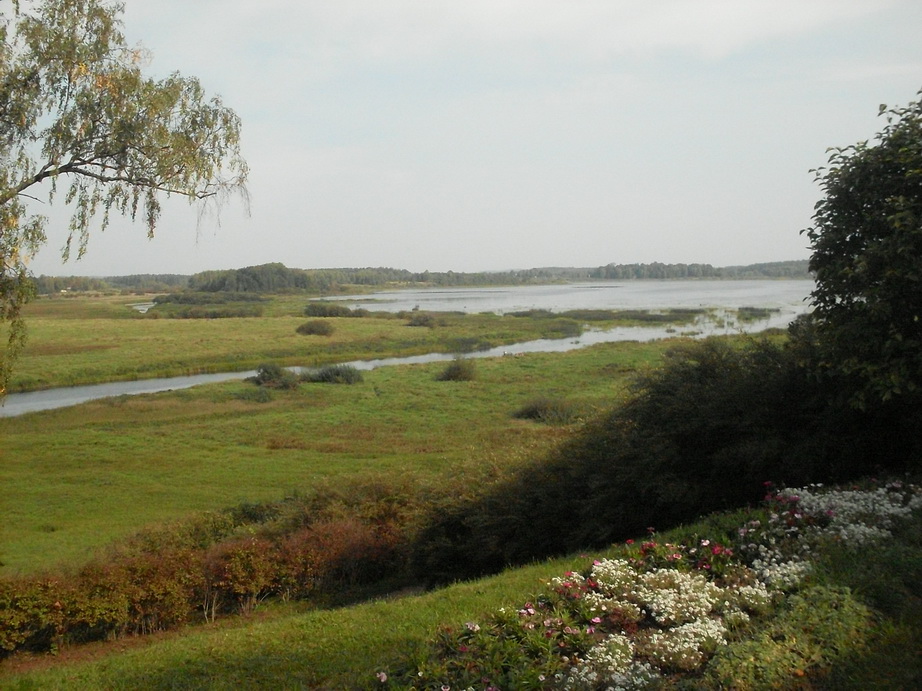 SDC13164.JPG