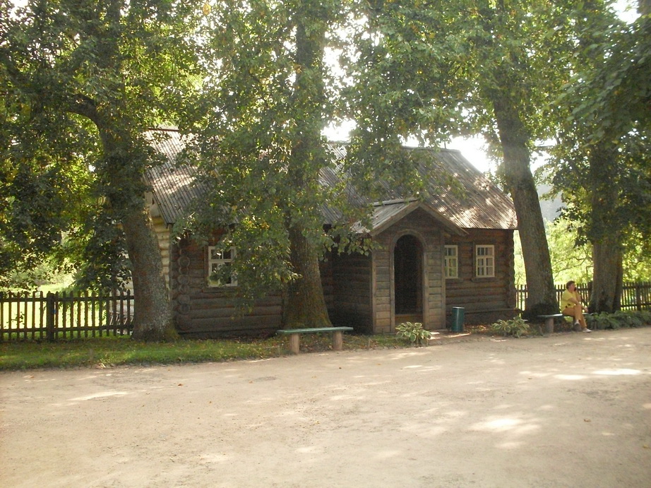 SDC13170.JPG
