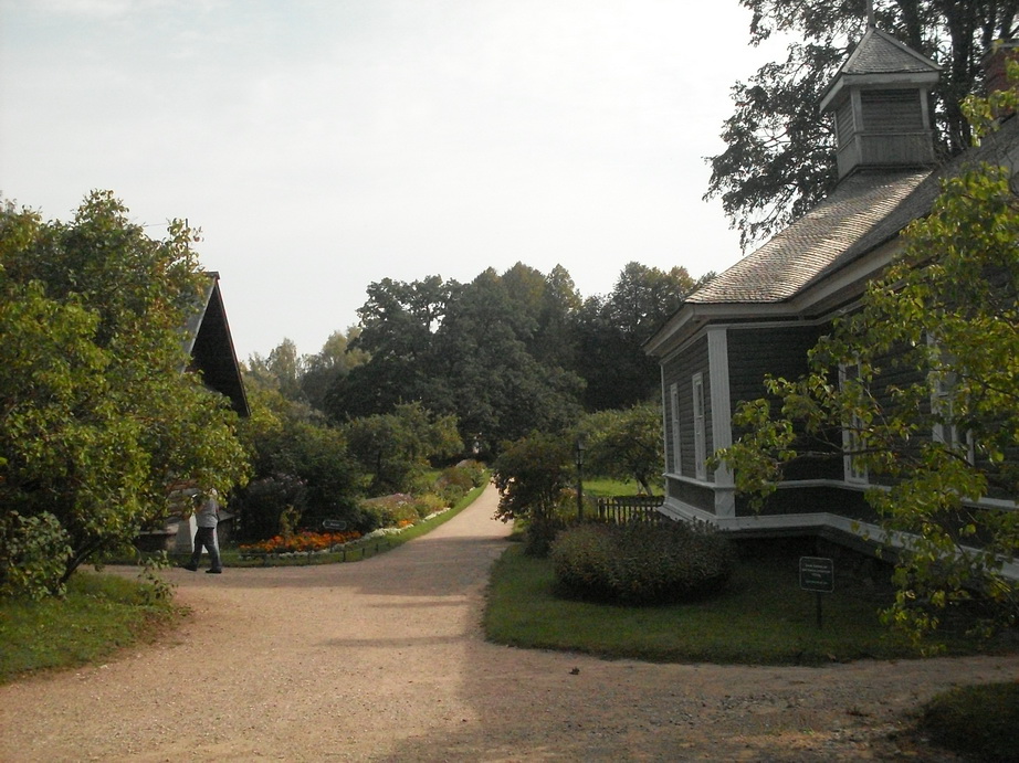 SDC13172.JPG