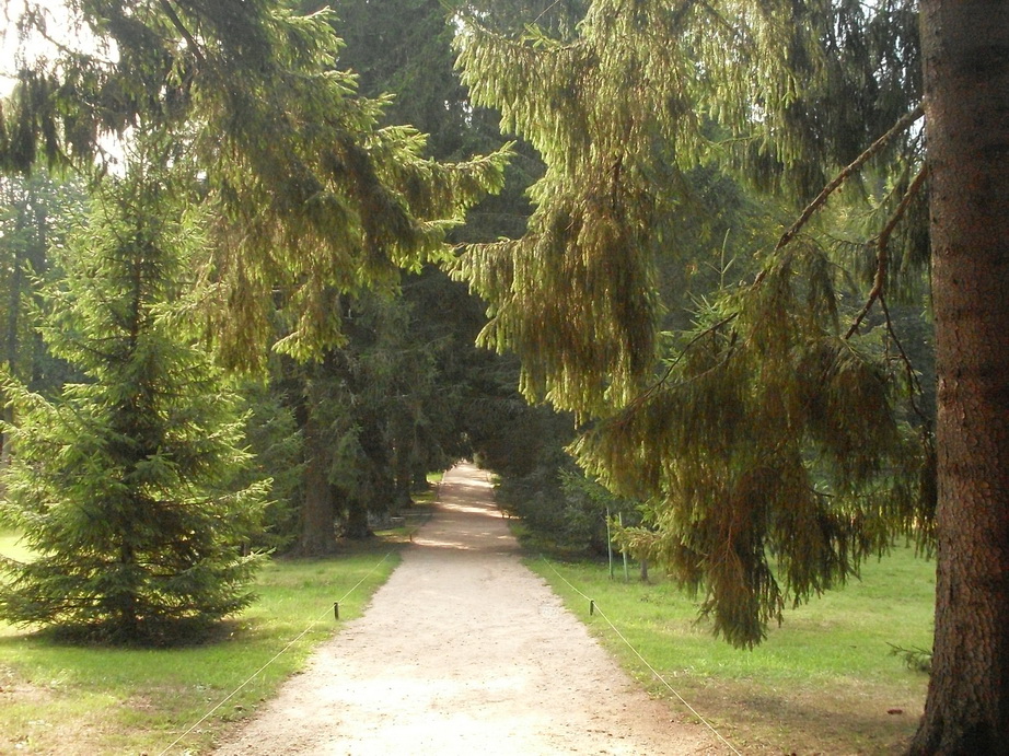SDC13176.JPG