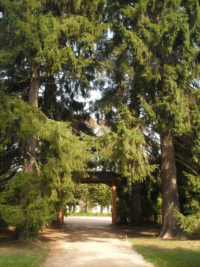 SDC13180.JPG