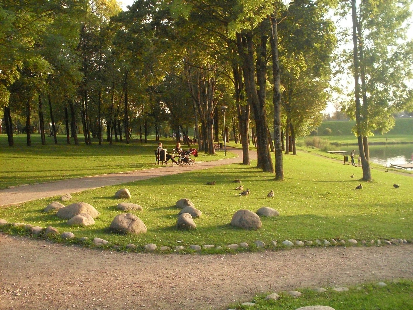 SDC13194.JPG