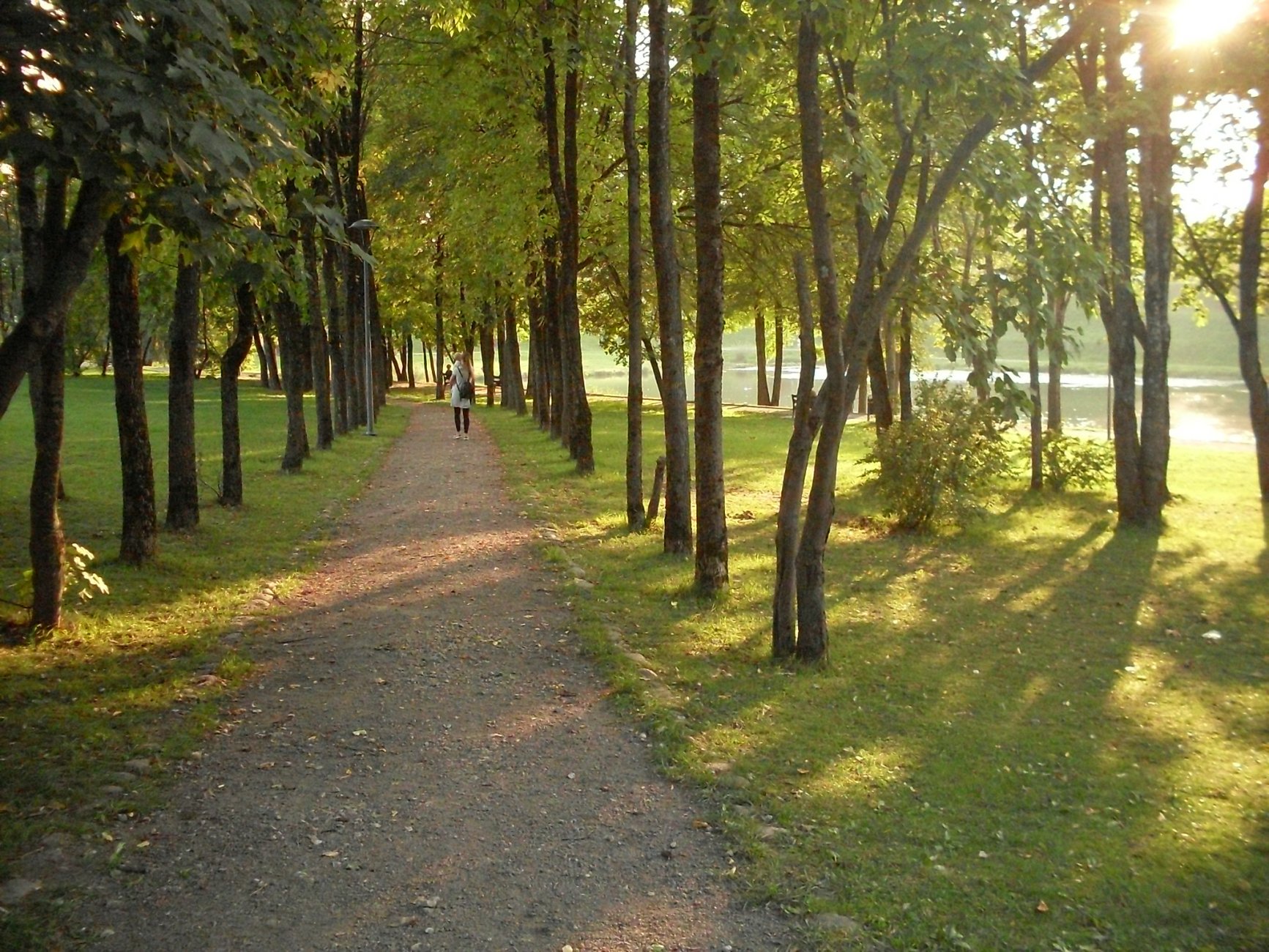 SDC13195.JPG