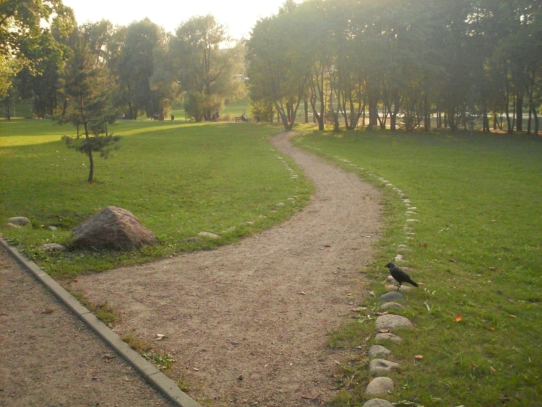 SDC13201.JPG