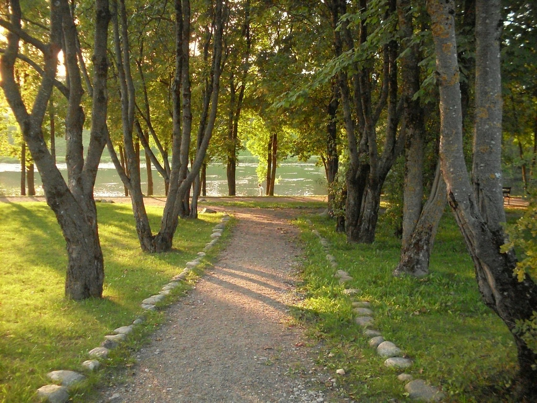 SDC13202.JPG