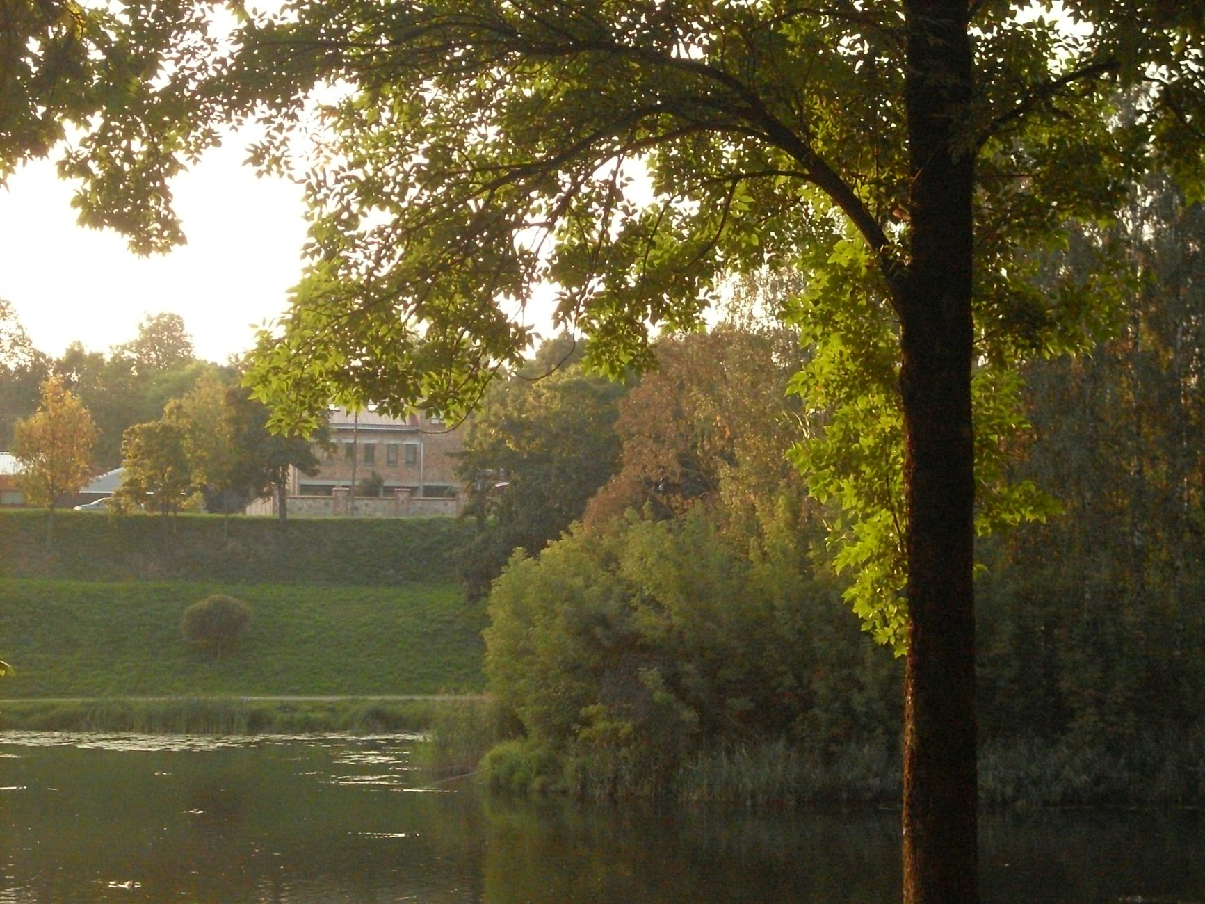SDC13203.JPG