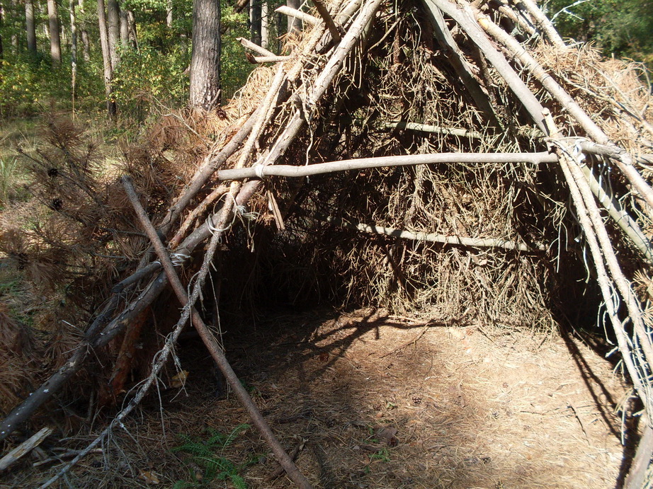 SDC13211.JPG