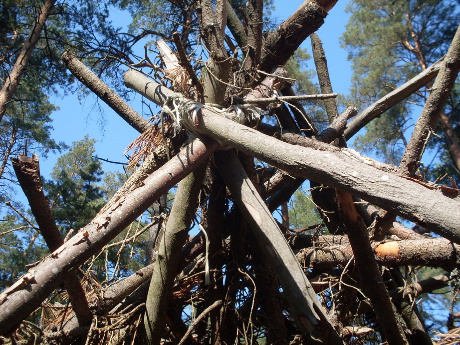 SDC13213.JPG