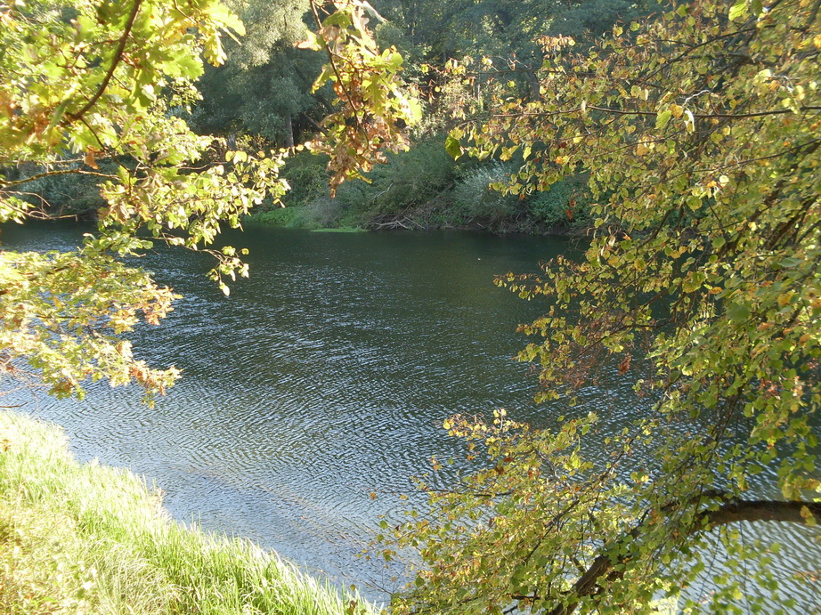 SDC13239.JPG