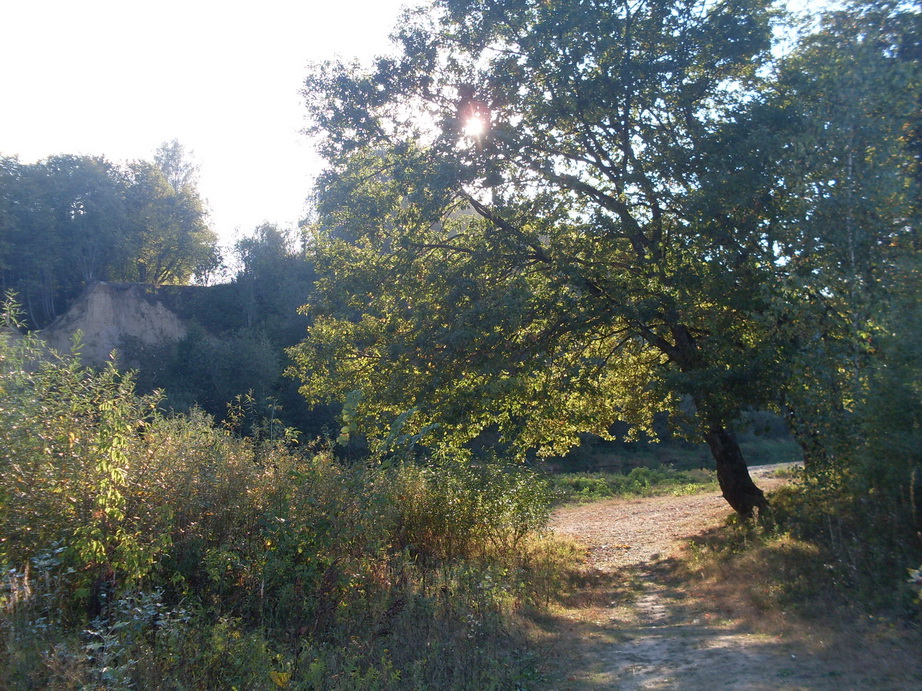 SDC13271.JPG