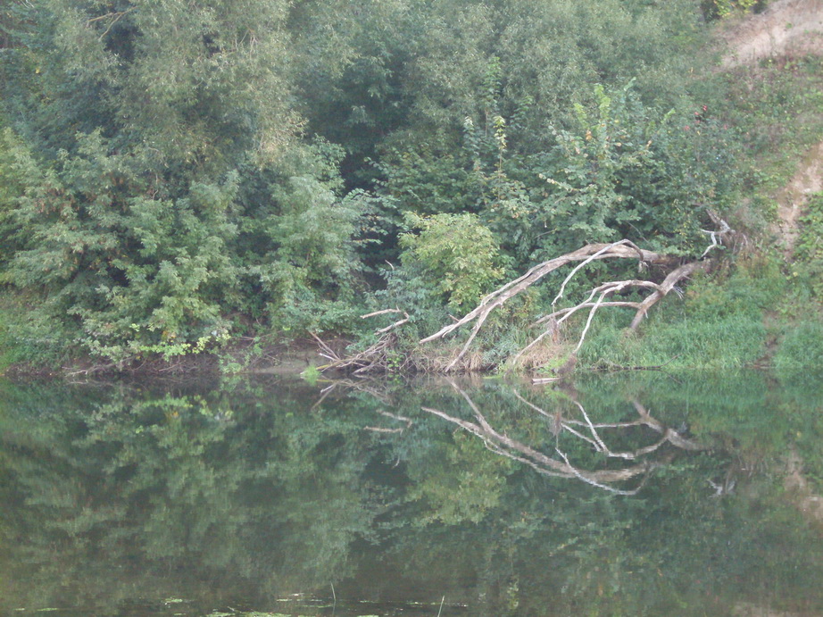 SDC13272.JPG