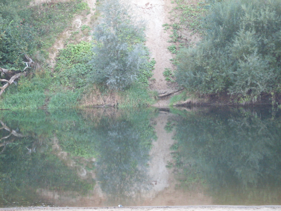 SDC13273.JPG