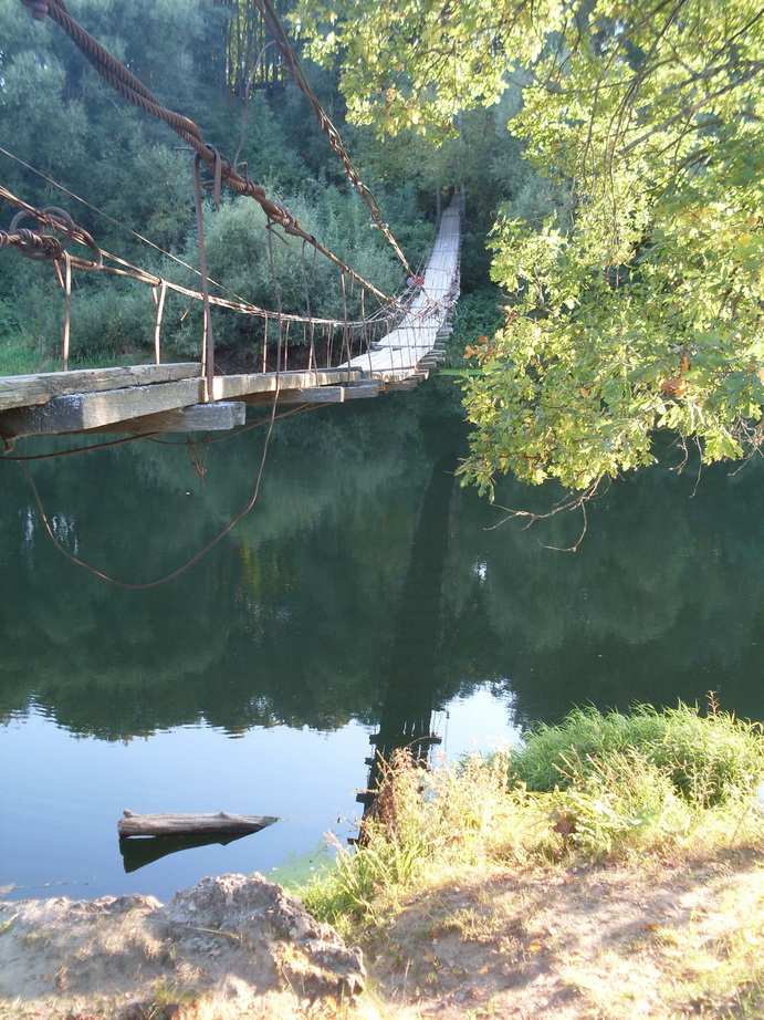 SDC13281.JPG