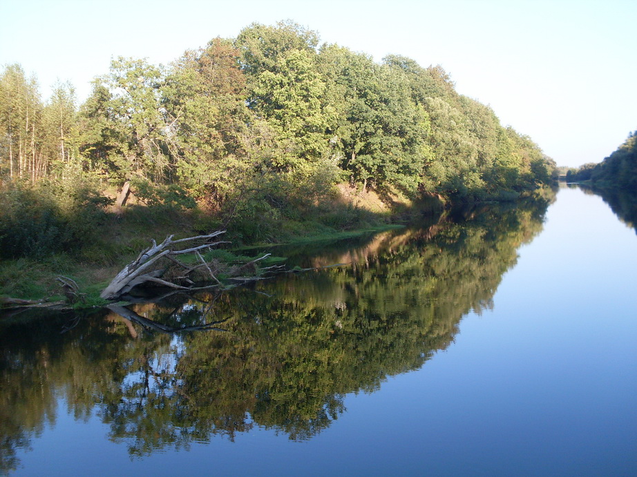 SDC13283.JPG