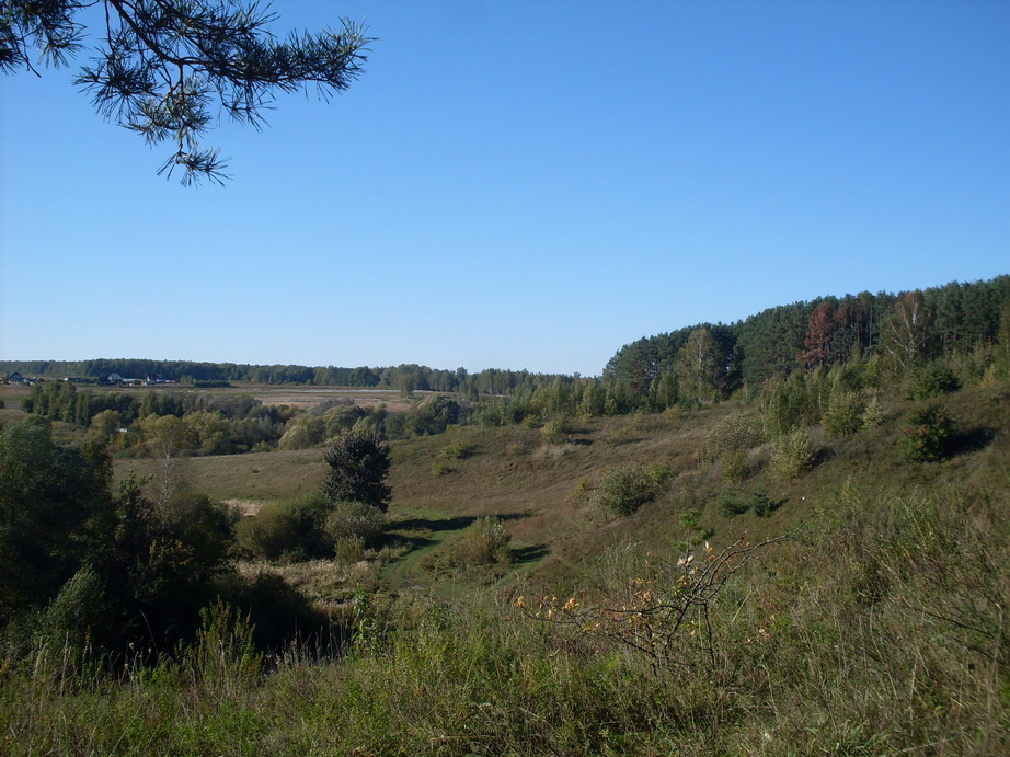 SDC13300.JPG