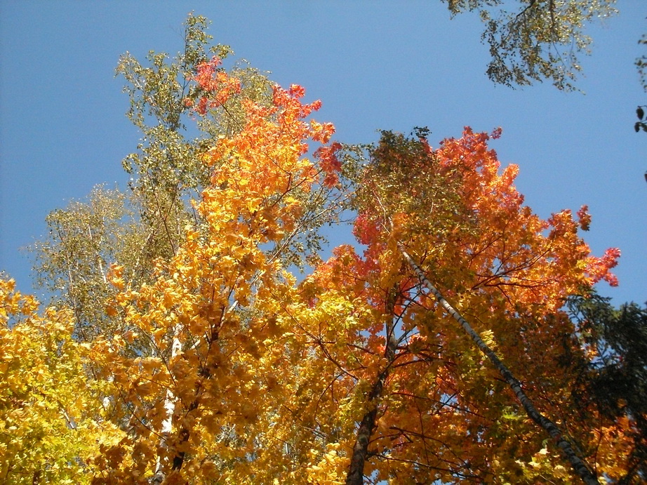 SDC13340.JPG