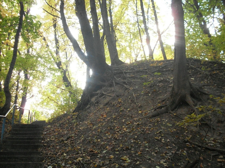 SDC13434.JPG