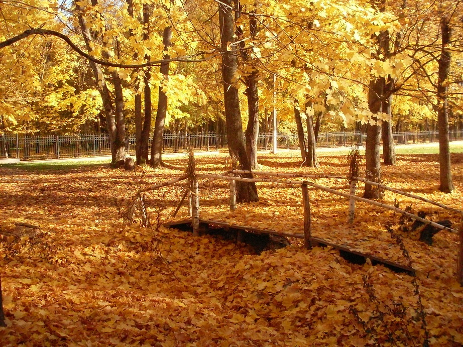 SDC13557.JPG