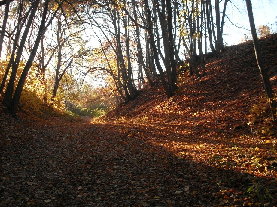 SDC13577.JPG