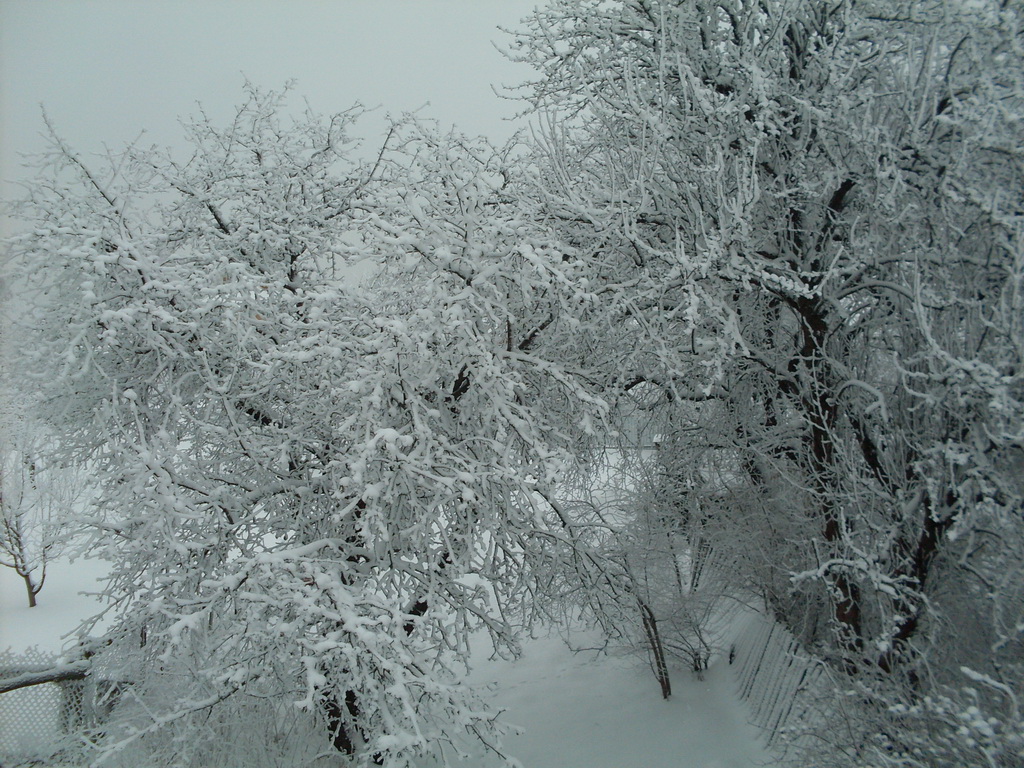 SDC13585.JPG