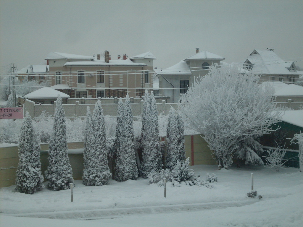 SDC13589.JPG