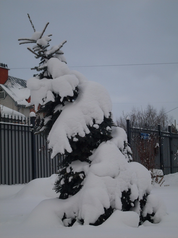 SDC13601.JPG