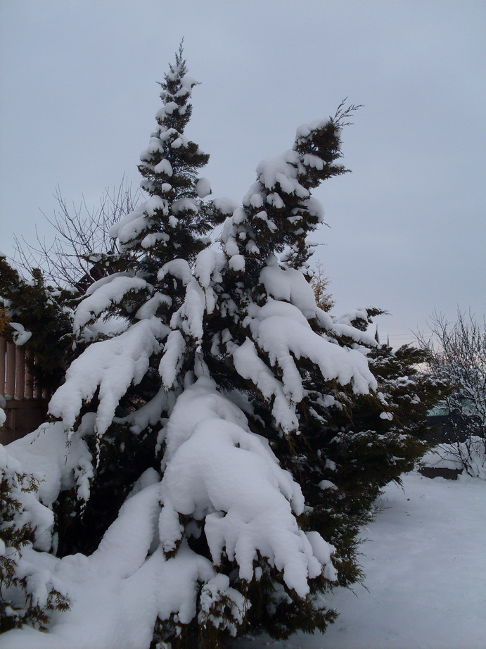 SDC13605.JPG