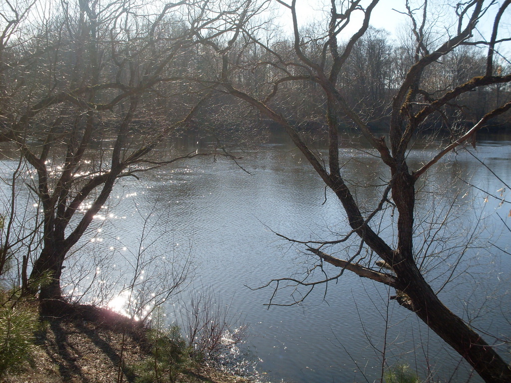 SDC13682_.jpg