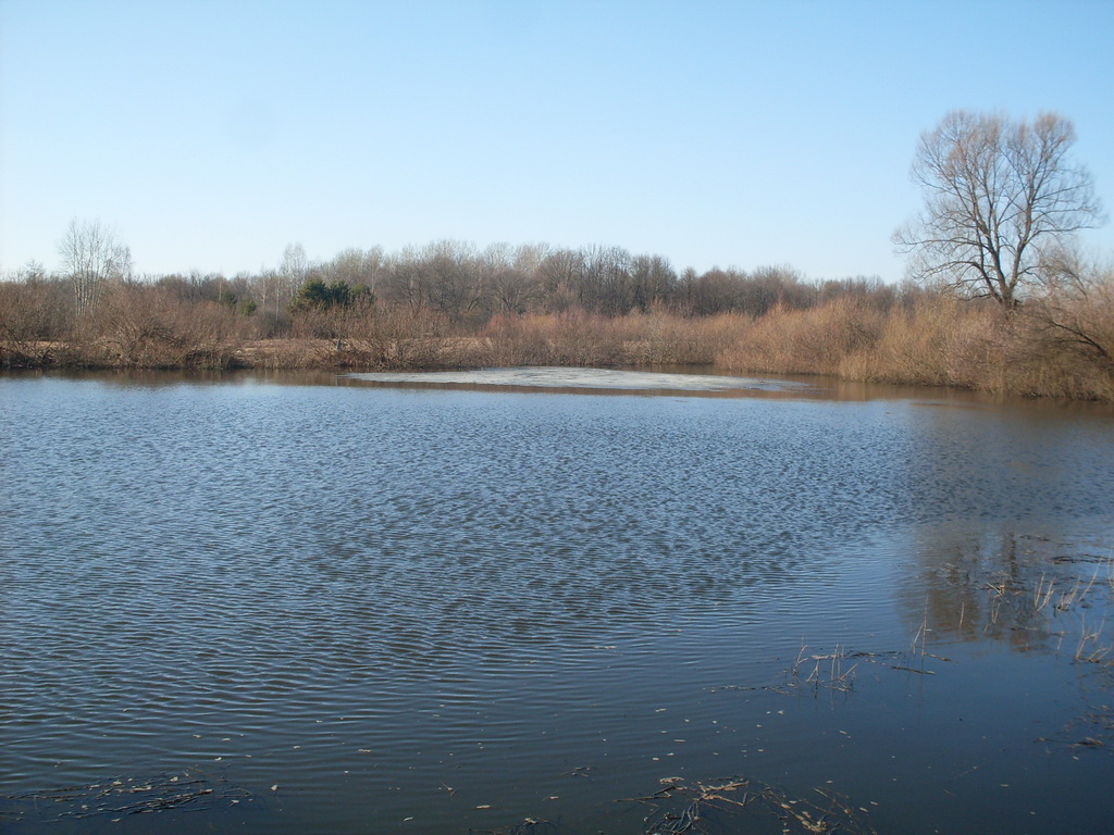 SDC13685.JPG
