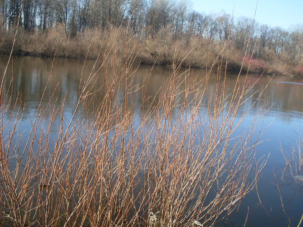 SDC13714.JPG