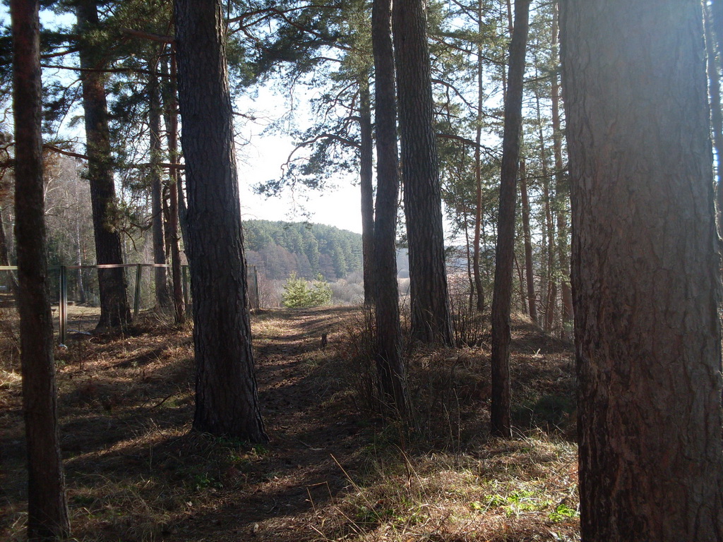 SDC13721_.jpg