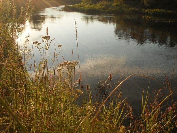 SDC14392_Закат_.jpg