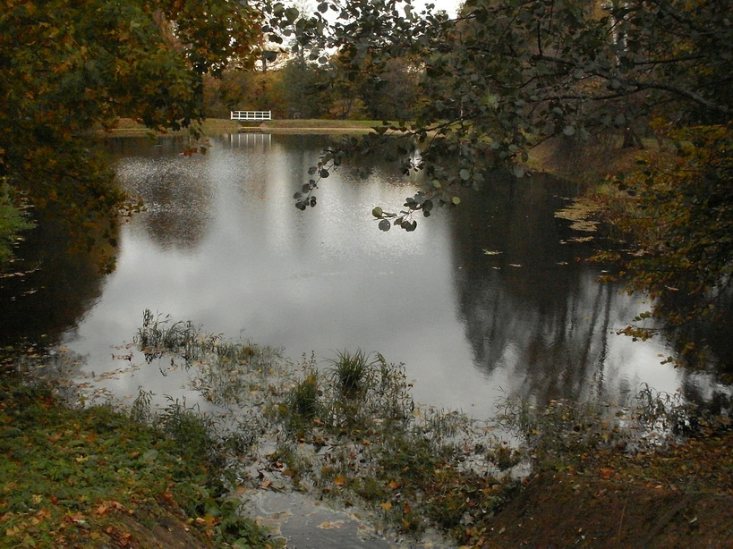 SDC15016_.jpg