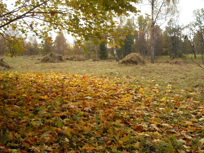 SDC15019_.jpg