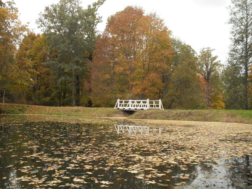 SDC15025_.jpg