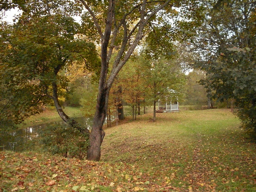 SDC15026_.jpg