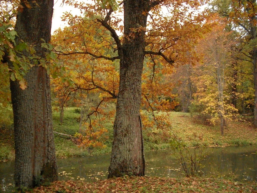 SDC15031_.jpg