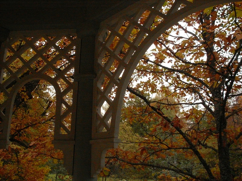 SDC15033_.jpg