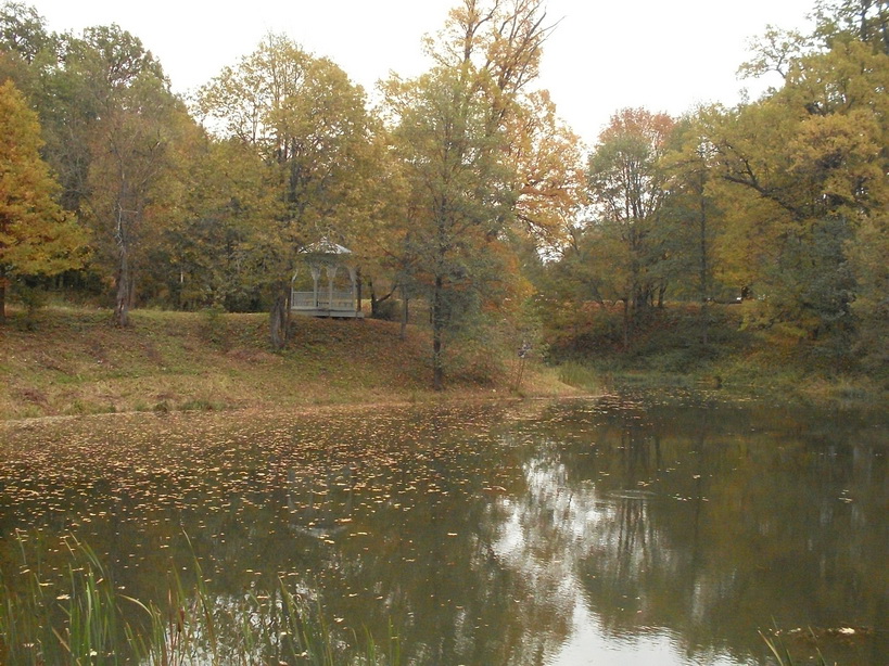 SDC15034_.jpg