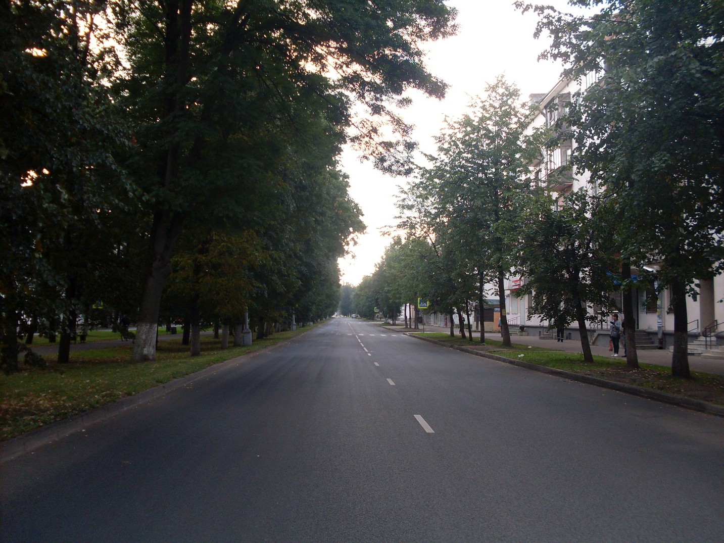 SDC15480.jpg