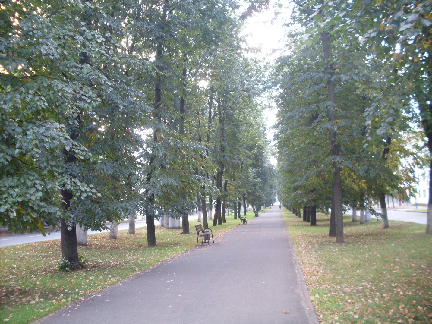 SDC15481.jpg
