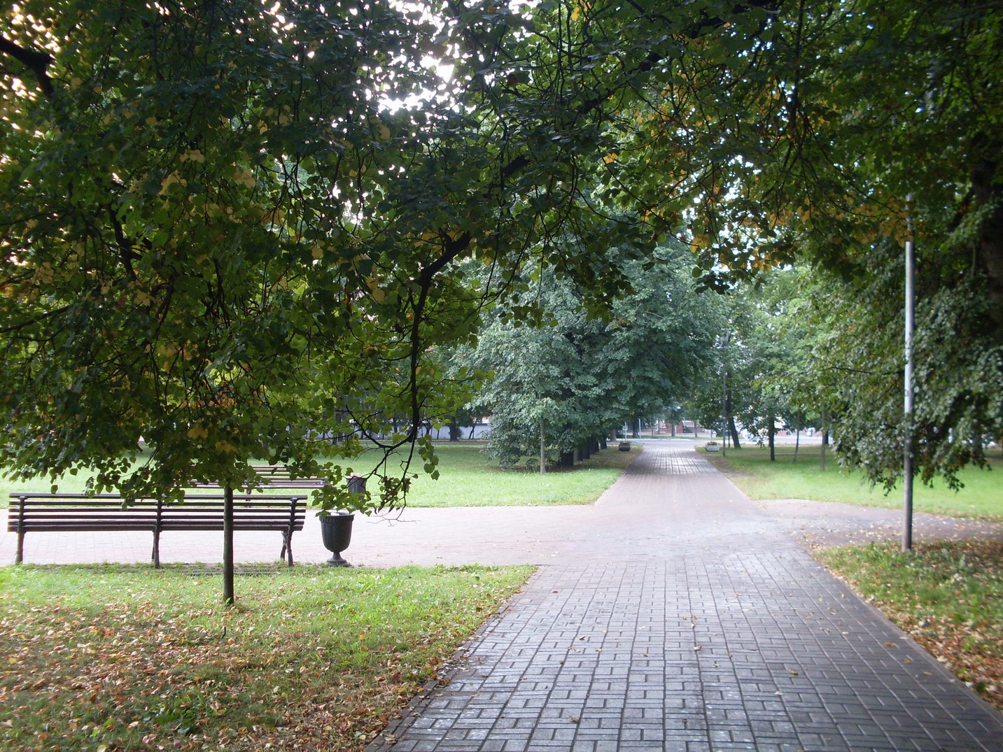 SDC15486.jpg