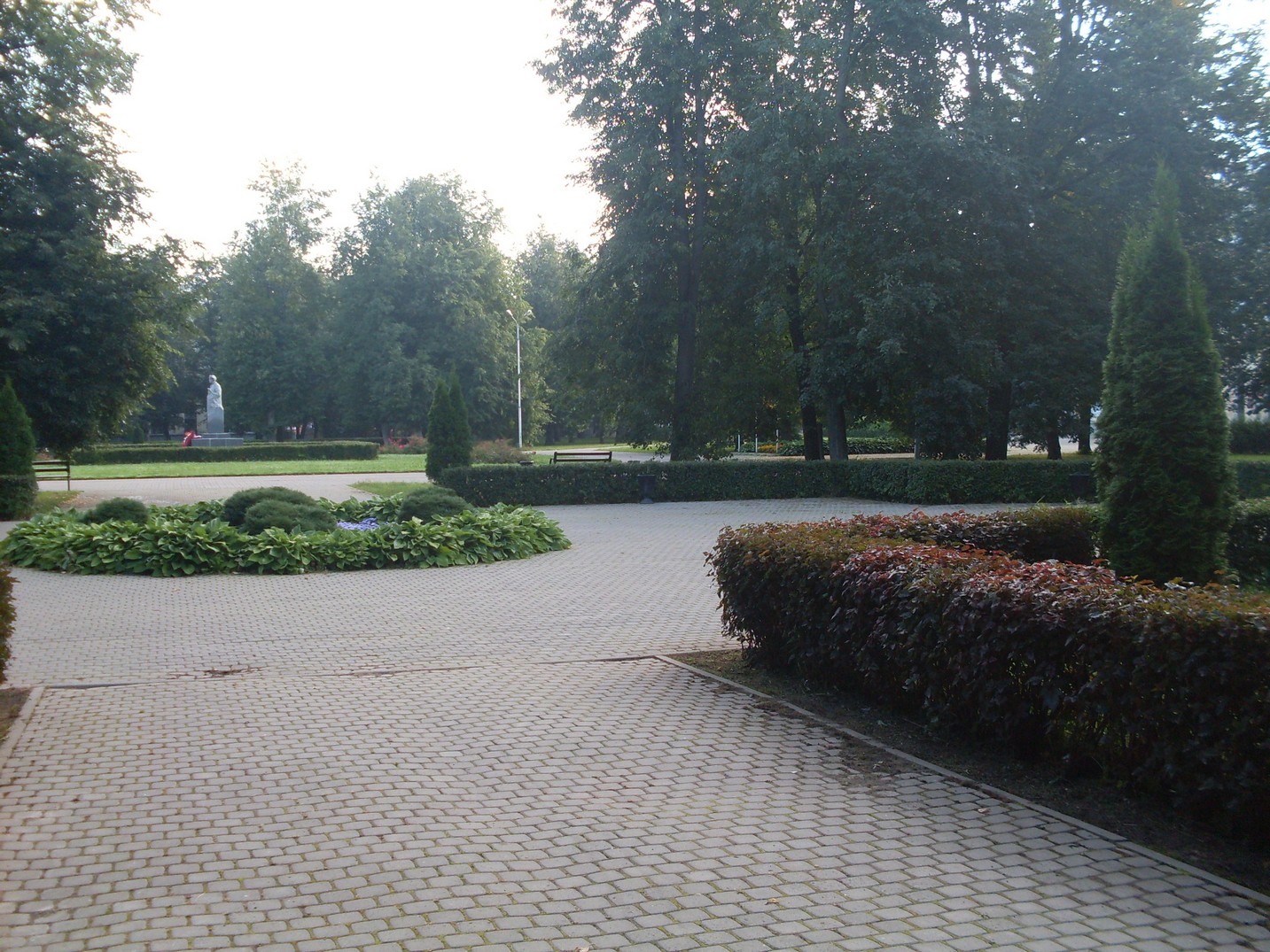 SDC15493.jpg