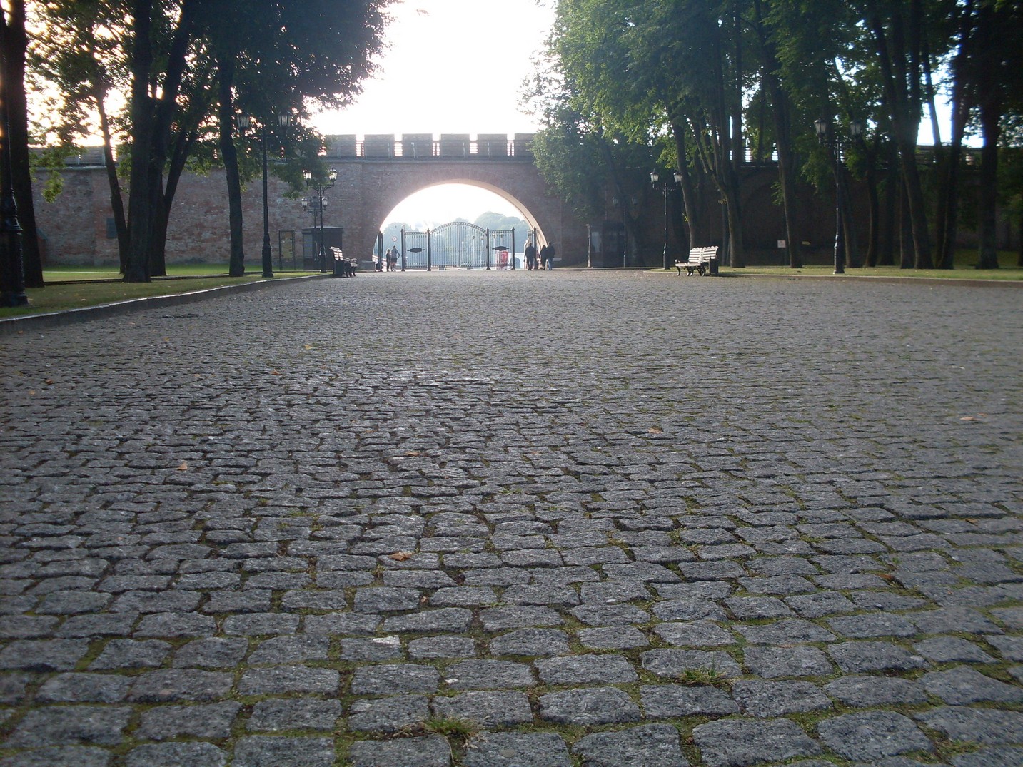 SDC15509.jpg