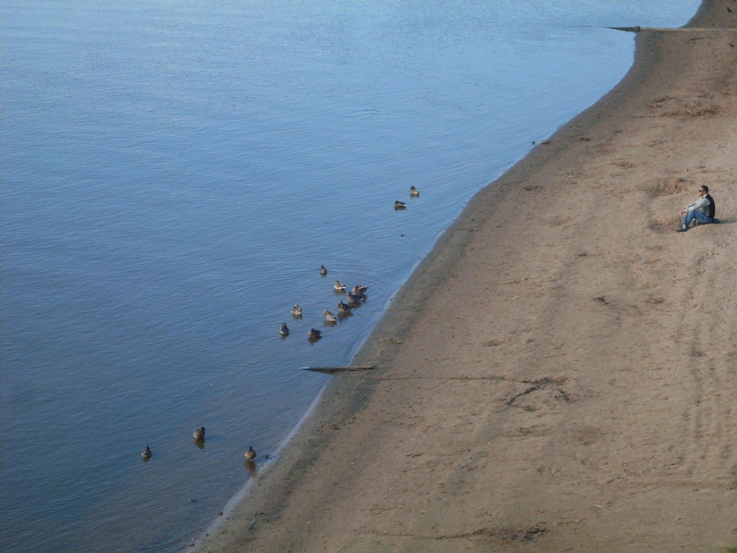 SDC15534.jpg